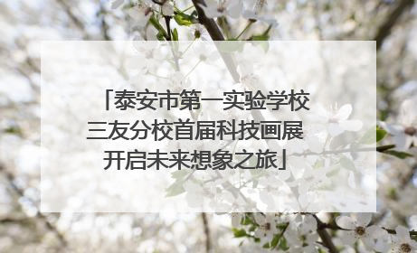 泰安市第一实验学校三友分校首届科技画展开启未来想象之旅
