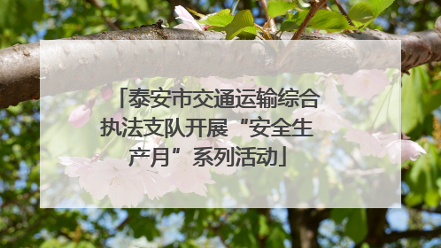 泰安市交通运输综合执法支队开展“安全生产月”系列活动