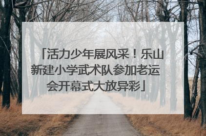 活力少年展风采！乐山新建小学武术队参加老运会开幕式大放异彩