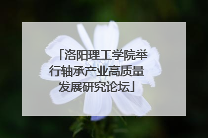 洛阳理工学院举行轴承产业高质量发展研究论坛