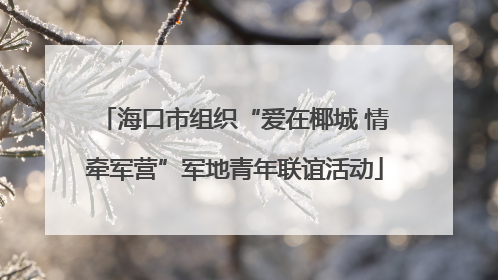 海口市组织“爱在椰城 情牵军营”军地青年联谊活动