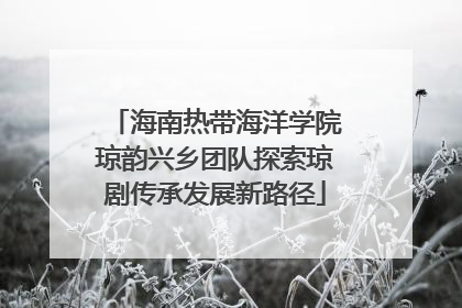 海南热带海洋学院琼韵兴乡团队探索琼剧传承发展新路径