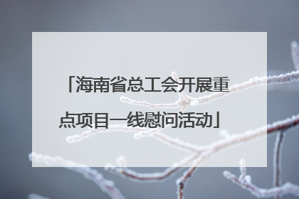 海南省总工会开展重点项目一线慰问活动