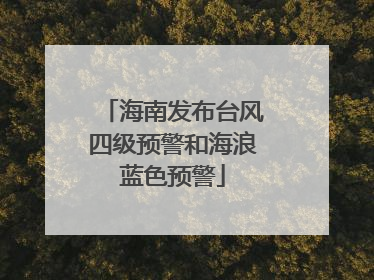 海南发布台风四级预警和海浪蓝色预警
