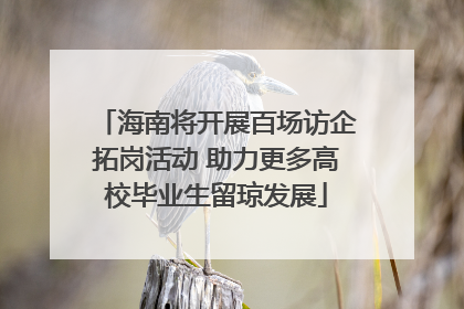 海南将开展百场访企拓岗活动 助力更多高校毕业生留琼发展