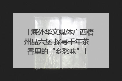海外华文媒体广西梧州品六堡 探寻千年茶香里的“乡愁味”