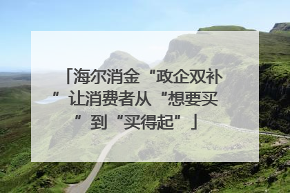 海尔消金“政企双补”让消费者从“想要买”到“买得起”