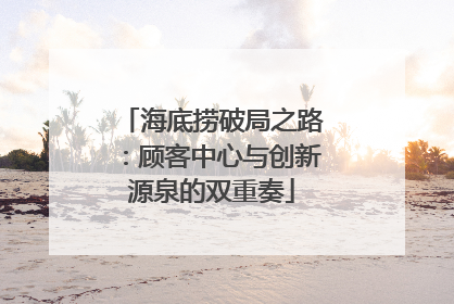海底捞破局之路：顾客中心与创新源泉的双重奏