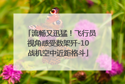 流畅又迅猛！飞行员视角感受数架歼-10战机空中近距格斗
