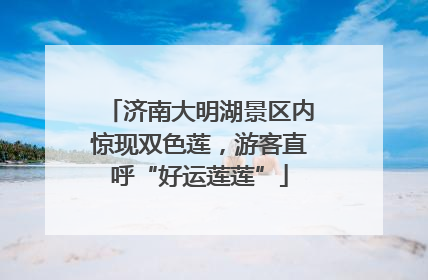 济南大明湖景区内惊现双色莲，游客直呼“好运莲莲”