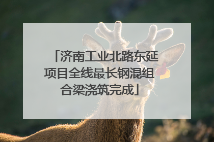 济南工业北路东延项目全线最长钢混组合梁浇筑完成