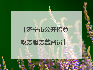 济宁市公开招募政务服务监督员