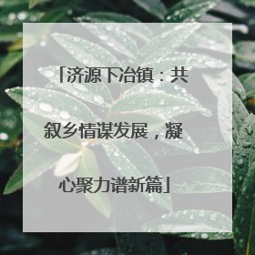 济源下冶镇：共叙乡情谋发展，凝心聚力谱新篇