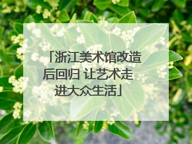 浙江美术馆改造后回归 让艺术走进大众生活