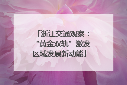 浙江交通观察：“黄金双轨”激发区域发展新动能