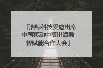 浩鲸科技受邀出席中国移动中资出海数智赋能合作大会