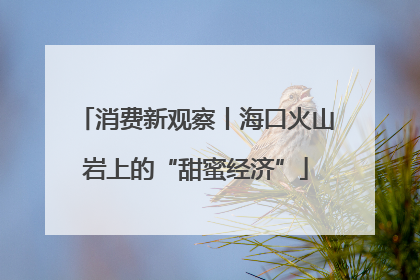 消费新观察丨海口火山岩上的“甜蜜经济”
