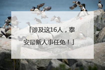 涉及这16人，泰安最新人事任免！