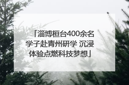 淄博桓台400余名学子赴青州研学 沉浸体验点燃科技梦想