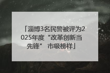 淄博3名民警被评为2025年度“改革创新当先锋” 市级榜样
