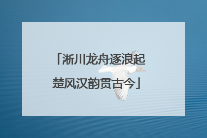 淅川龙舟逐浪起 楚风汉韵贯古今