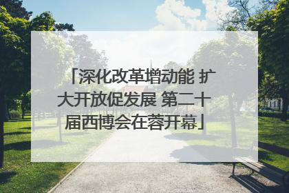 深化改革增动能 扩大开放促发展 第二十届西博会在蓉开幕