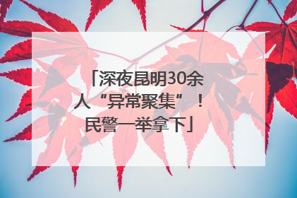 深夜昆明30余人“异常聚集”！民警一举拿下