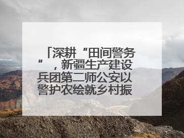 深耕“田间警务”，新疆生产建设兵团第二师公安以警护农绘就乡村振兴平安画卷