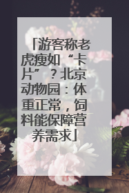 游客称老虎瘦如“卡片”？北京动物园：体重正常，饲料能保障营养需求