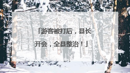 游客被打后，县长开会，全县整治！