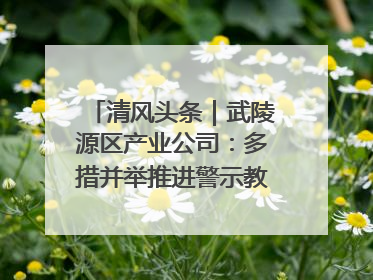 清风头条｜武陵源区产业公司：多措并举推进警示教育走深走实