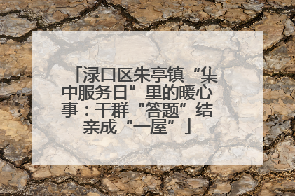 渌口区朱亭镇“集中服务日”里的暖心事：干群“答题”结亲成“一屋”
