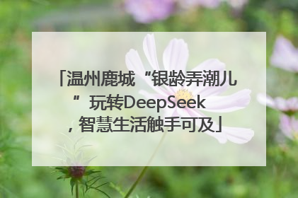 温州鹿城“银龄弄潮儿”玩转DeepSeek，智慧生活触手可及