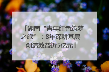 湖南“青年红色筑梦之旅”：8年深耕基层创造效益近5亿元