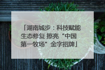 湖南城步：科技赋能生态修复 擦亮“中国第一牧场”金字招牌