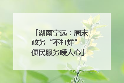 湖南宁远：周末政务“不打烊” 便民服务暖人心