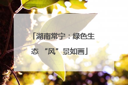 湖南常宁：绿色生态 “风”景如画