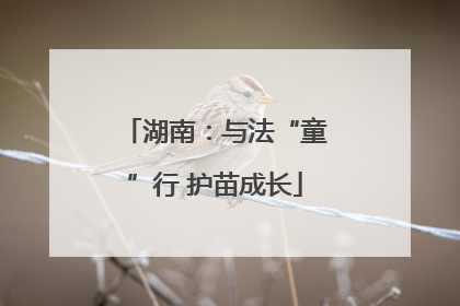 湖南：与法“童”行 护苗成长