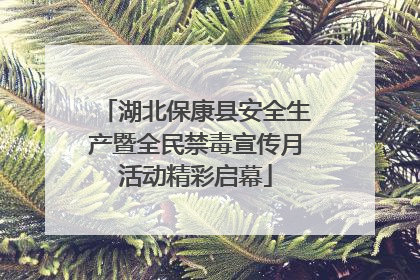 湖北保康县安全生产暨全民禁毒宣传月活动精彩启幕