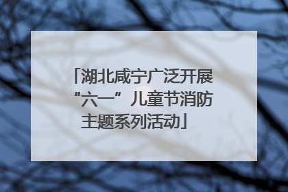 湖北咸宁广泛开展“六一”儿童节消防主题系列活动