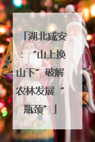 湖北咸安：“山上换山下”破解农林发展“瓶颈”