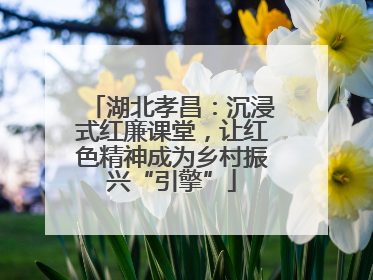 湖北孝昌：沉浸式红廉课堂，让红色精神成为乡村振兴“引擎”
