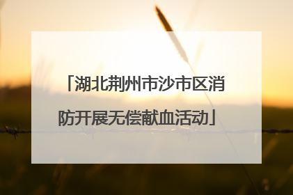 湖北荆州市沙市区消防开展无偿献血活动