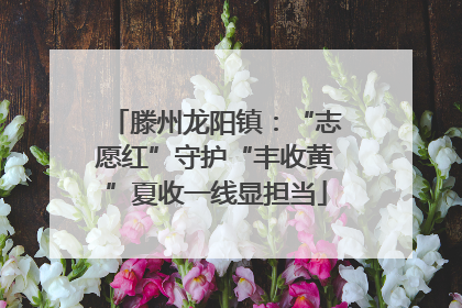 滕州龙阳镇：“志愿红”守护“丰收黄”夏收一线显担当