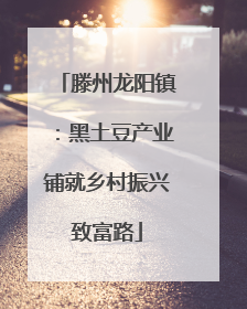 滕州龙阳镇：黑土豆产业铺就乡村振兴致富路