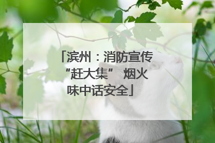 滨州：消防宣传“赶大集” 烟火味中话安全