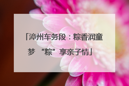 漳州车务段：粽香润童梦 “粽”享亲子情