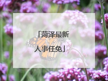 菏泽最新人事任免