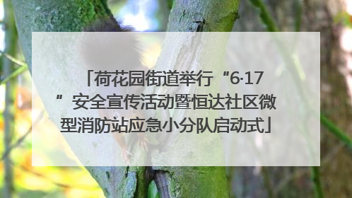 荷花园街道举行“6·17”安全宣传活动暨恒达社区微型消防站应急小分队启动式