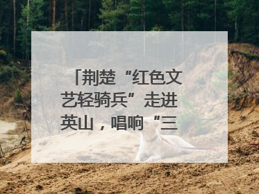 荆楚“红色文艺轻骑兵”走进英山，唱响“三大精神”